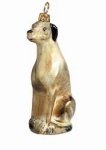 Greyhound